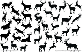 鹿背景