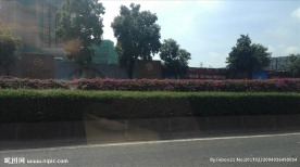房地产围墙路边风景