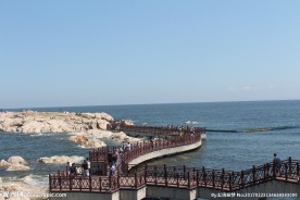 威海的大海