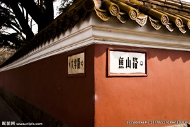 青岛大学路