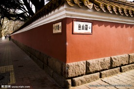 青岛大学路