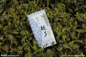 越乡龙井茶包装