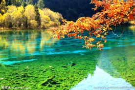 河边秋景