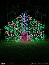 灯光节孔雀
