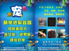 水族宠物宣传单