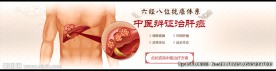 中医banner