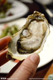 生蚝美味生蚝