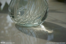 玻璃瓶里的植物根