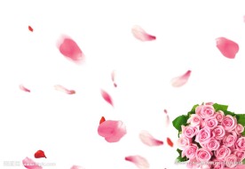 粉色玫瑰花瓣花束