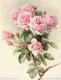 玫瑰花朵花卉装饰画