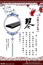 琴