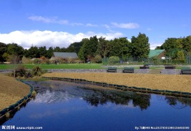 奥克兰植物园风景