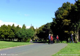 奥克兰植物园风景