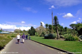 奥克兰植物园风景
