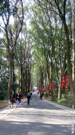 武汉东湖绿道