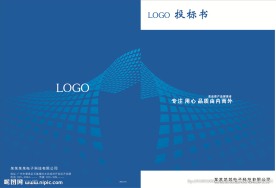 投标书