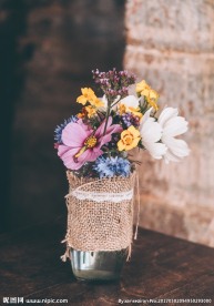 鲜花绿植