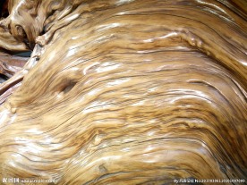 树木纹理 崖柏根雕