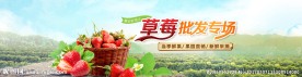 草莓banner