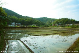 田园风光 春耕时节