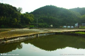 田园风光 春耕时节