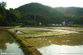 田园风光 挽水西流