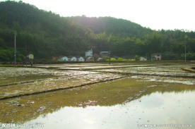 田园风光 春耕时节