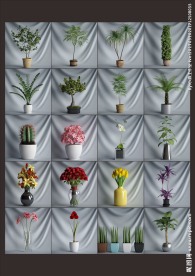 20个高精植物3D模型