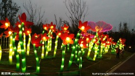 园博园花灯展