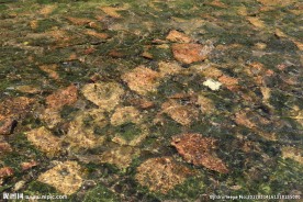 深圳中心公园河道