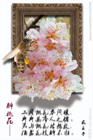 3D桃花