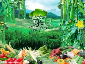 菜园