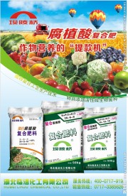 单页海报