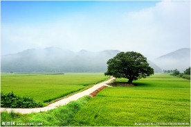 风景摄影
