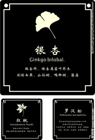 树铭牌  树名牌