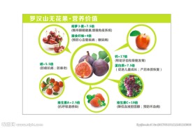 无花果营养价值