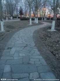 黄昏小路