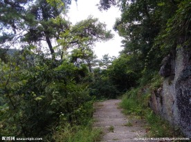 山路
