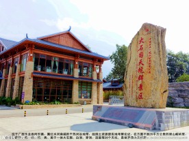 大石围天坑