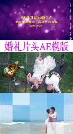浪漫婚礼开场片头AE模板