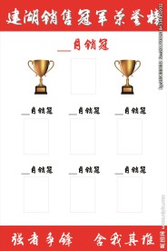 17年东风日产 销售冠军荣誉榜