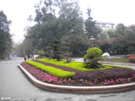 花坛 花池  绿化带