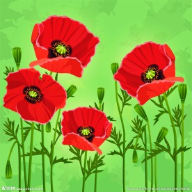 卡通画红色花朵