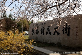 长春新民大街
