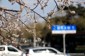 长春新民大街