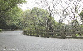 风景 绿地 日光