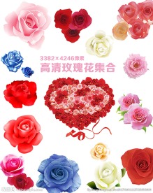 玫瑰花集合素材