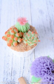 韩式裱花纸杯蛋糕