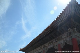 北京 大树 故宫 旅游 自然