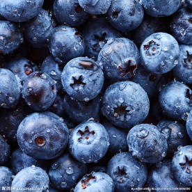 蓝莓